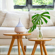 Aroma Diffuser WDH-AD31 für Wohnzimmer