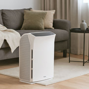 Luftreiniger mit Ionisator und UV-C Licht WDH-C03 im Wohnzimmer